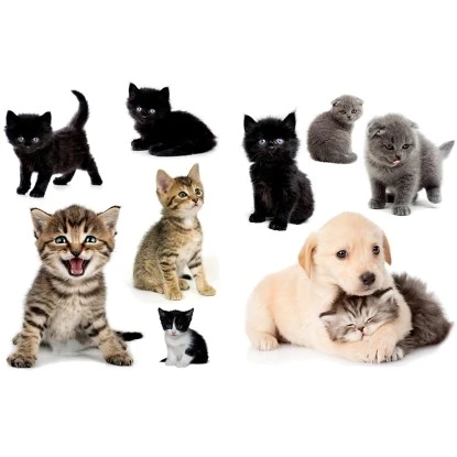 Euroart Wandsticker Süße Tiere 25 Cm X 35 Cm