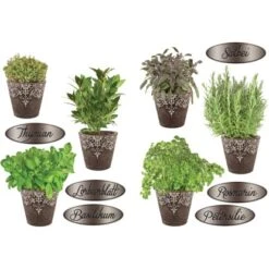 Euroart Wandsticker Kräuter IV 50 Cm X 70 Cm