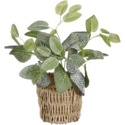Mica Decorations Kunstpflanze Fittonia Im Korb Ø 12 Cm X 33 Cm