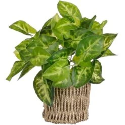 Mica Decorations Kunstpflanze Scindapsus Im Korb Ø 12 Cm X 33 Cm