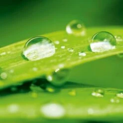 Eurographics Deco Glass After The Rain 20 Cm X 20 Cm