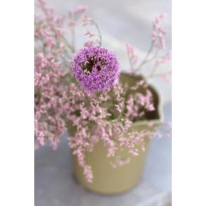 Xala Eimer 13 L Olivgrau – Bild 2