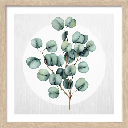 Bild Mit Rahmen Anonymus Diff. Eucalyptus Branches Lll 32,5 Cm X 32,5 Cm