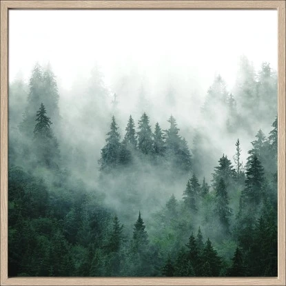 Bild Mit Rahmen Anonymus Forest Feeling L 52,5 Cm X 52,5 Cm