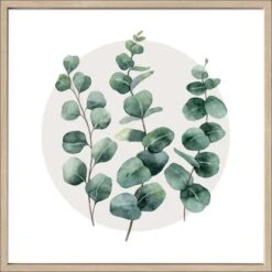 Bild Mit Rahmen Anonymus Diff. Eucalyptus Branches L 52,5 Cm X 52,5 Cm