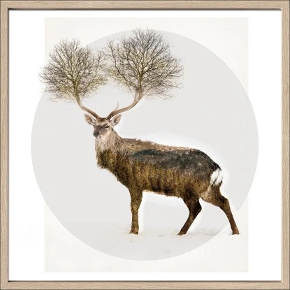 Bild Mit Rahmen Anonymus Deer With Trees 52,5 Cm X 52,5 Cm