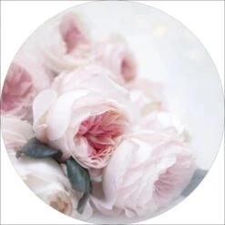 Glasbild Pink Flowers I 30 Cm X 30 Cm