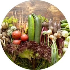 Glasbild Gemüse I 30 Cm X 30 Cm