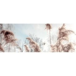 Deco Panel Anonymus Dried Fiber 117 Cm X 49 Cm