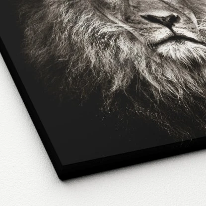 Leinwandbild Basic Anonymus Lionhead 40 Cm X 40 Cm – Bild 2