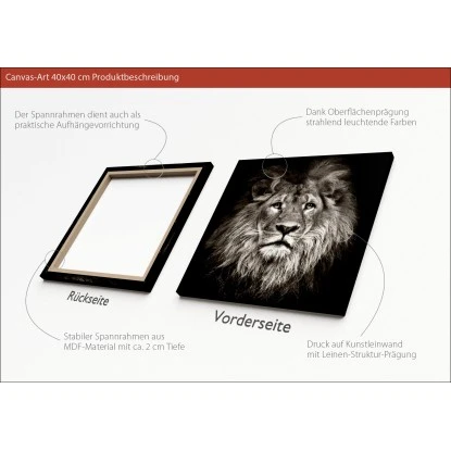 Leinwandbild Basic Anonymus Lionhead 40 Cm X 40 Cm – Bild 3