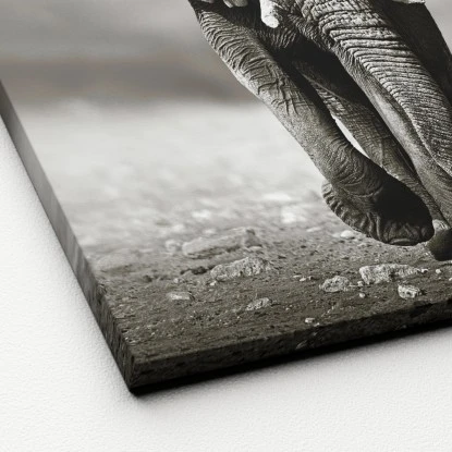 Leinwandbild Basic Anonymus Grey Elephant 40 Cm X 40 Cm – Bild 2