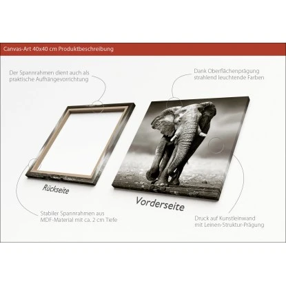 Leinwandbild Basic Anonymus Grey Elephant 40 Cm X 40 Cm – Bild 3