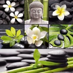 Memoboard Magnete Zen Collage