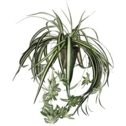 Mica Decorations Kunstpflanze Chlorophytum In Topf H 45 Cm, Ø: 45 Cm