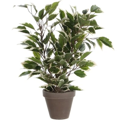 Mica Decorations Kunstpflanze Ficus Natasja In Topf Grün-Weiß H 40 Cm, Ø: 30 Cm