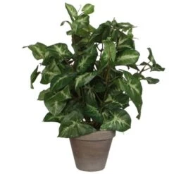 Mica Decorations Kunstpflanze Syngonium Im Blumentopf Ø 25 Cm X 35 Cm Grün