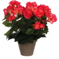 Kunstblume Begonia Dunkelrosa Topf-Ø 11,5 Cm H 30 Cm, Ø: 25 Cm
