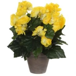 Kunstblume Begonia Gelb Topf-Ø 11,5 Cm H 30 Cm, Ø: 25 Cm