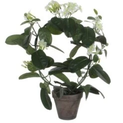 Mica Decorations Kunstpflanze Stephanotis Im Blumentopf Stan Ø 40 X 50 Cm Weiß