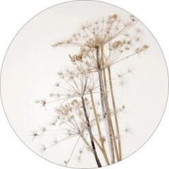 Pro Art Glasbild Field Flowers II Ø 30 Cm