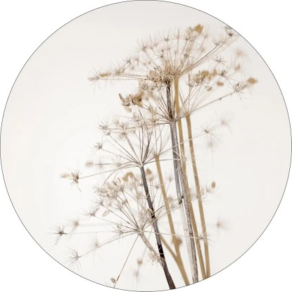 Pro Art Glasbild Field Flowers II Ø 30 Cm