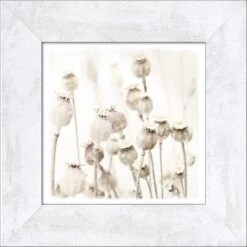 Pro Art Bild Framed Art Dried Poppies 44 Cm X 44 Cm