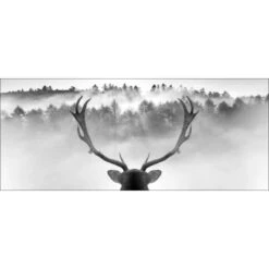 Pro Art Dekopanel King Of The Forest 120 Cm X 50 Cm