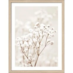 Pro Art Bild Framed Art Dried Fiber In The Wind III 40 Cm X 30 Cm