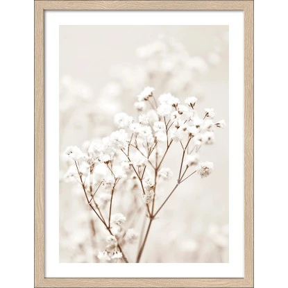 Pro Art Bild Framed Art Dried Fiber In The Wind III 40 Cm X 30 Cm