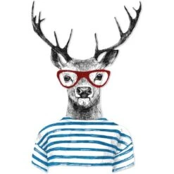 Pro Art Bild Cut-Out Hirsch Mit Brille 50 Cm X 50 Cm