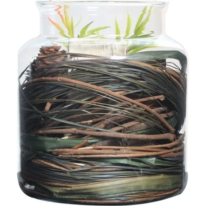 Kayoom Deko-Glas Flora Natural Ø 20 Cm X 18 Cm – Bild 3