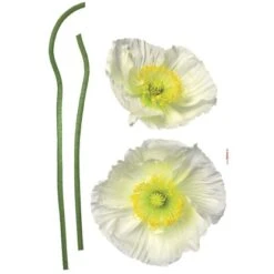 Komar Deko-Sticker Pavot Blanc 50 Cm X 70 Cm