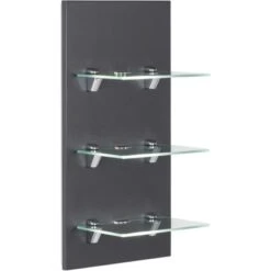LED-Panel Viva Anthrazit Seidenglanz Mit 3 Glasablagen